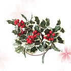 Weihnachten Hängende Anhänger Lichterkette Rot Obst Rattan Dekorative Licht