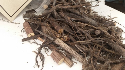 STUMPSTUFF forest cover, 100% natural, twigs, dioramas, clean, USA-Made Low$HIP - Picture 2 of 7