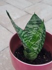 Bild 8 von 11