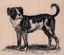 Dog Looking 3 x 2 1/2" Rubber Stamp, Animal Stamp, Dog Stamp