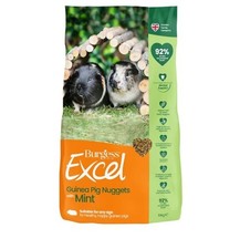 Burgess Excel Adult Guinea Pig Nuggets With Mint - 10kg Free Delivery