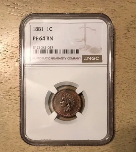 1881 INDIAN HEAD CENT NGC PF 64 BN PROOF PQ GORGEOUS GEM CENT