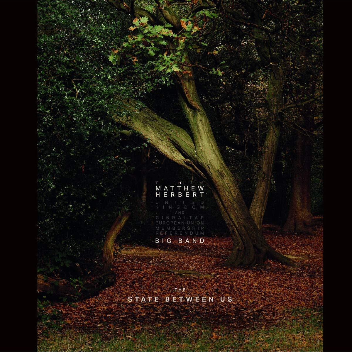 Matthew Herbert Big Band - The State Between Us - 2 Cd