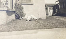 1924 Little Boy Doing Summersault Standing on Head Acrobatic Child Photo P19a28