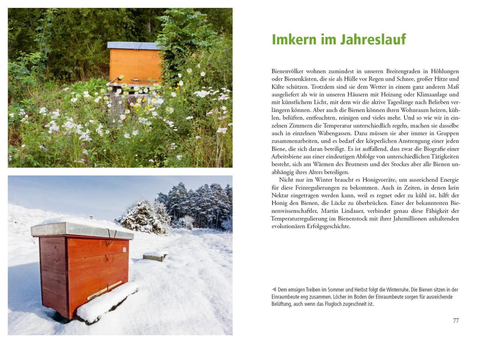 Thumbnail - Imkern Mit Der Einraumbeute | Johannes Wirz (u. A.) | Buch | 176 S. |