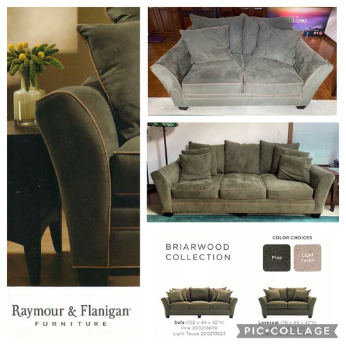 raymour and flanigan dog chair