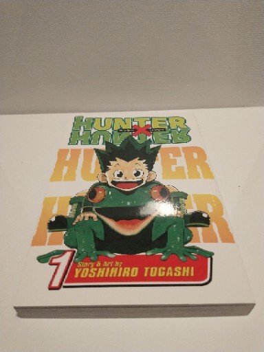 HUNTER×HUNTER VOL.1 Hunter X Hunter, Vol. 1 (Paperback) - Walmart.com