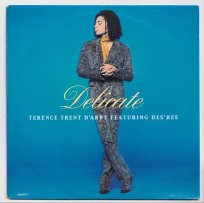 (nY374) Terence Trent D'arby ft Des'ree, Delicate - 1993 - 7'' vinyl