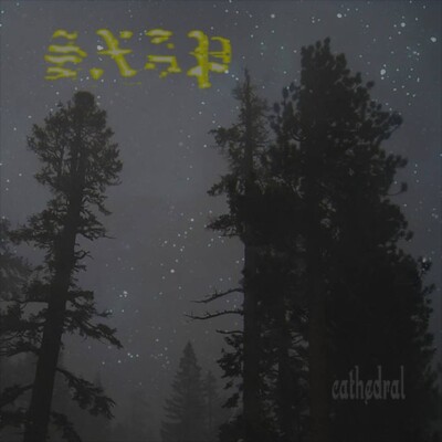 SXAP - Cathedral (CD) NEU