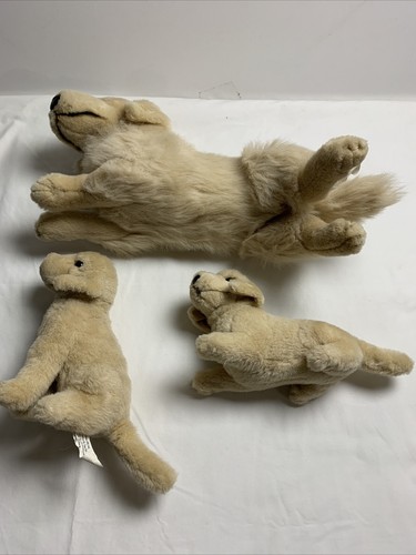 Prima E&J Classic Collection realistisches Golden Retriever Labor Hund Plüschtier 18 Zoll + Welpen - Bild 8 von 12