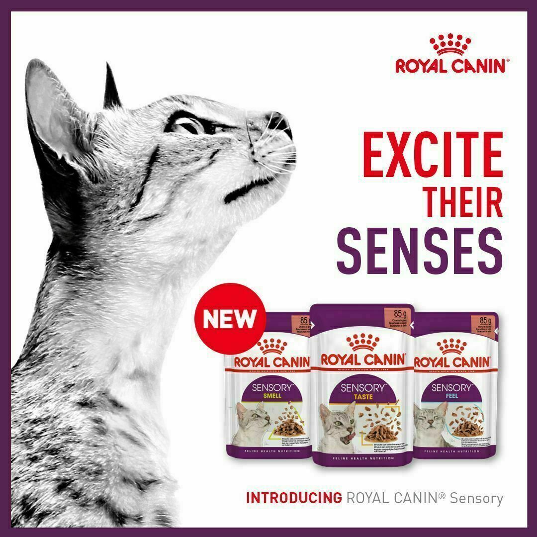  CANIN SENSORY 85g 12パック×3箱、バラ8 Sensory Adult Wet Cat Pouch Pack, 12 x 85g | eBay