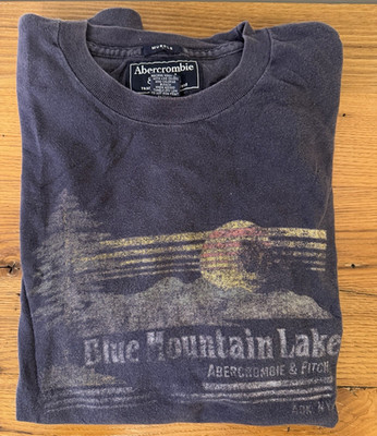 Abercrombie & Fitch Men s Blue Graphic Logo Crew Neck Cotton Knit Tee L