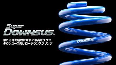 ESPELIR SUPER DOWNSUS SPRINGS REAR FOR MAZDA CX-3 DKEAW PE-VPS ESM-6986R