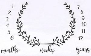 monthly milestone photo blanket
