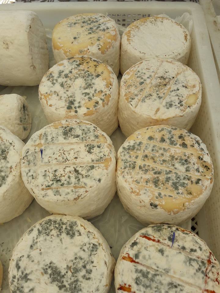 Molds for fresh cheese Homemade cheese mold tablets for making