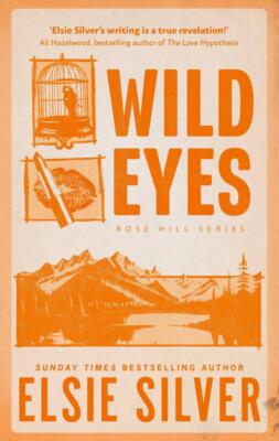 Wild Eyes | Elsie Silver | 2024 | englisch