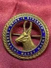 Lovely WW1/2 South African Infantry General Service Enamel Sweetheart Brooch