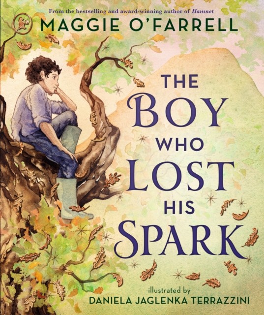 The Boy Who Lost His Spark by Maggie O'Farrell (Paperback Book)