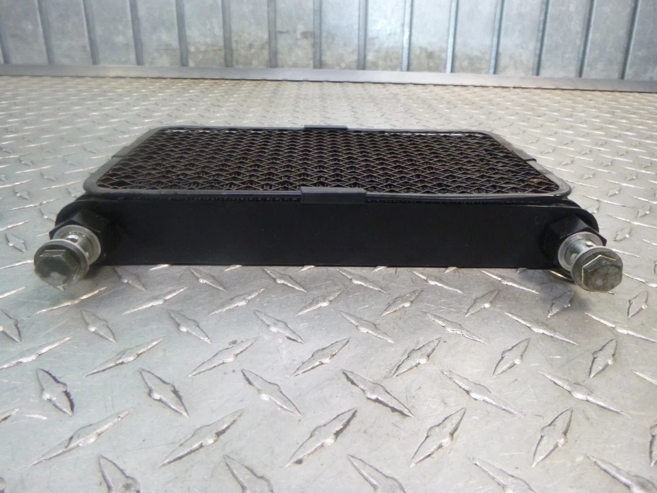 Enfriador de aceite de motor Hyosung Aquila GV250 2008 Foto 3 de 4