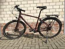 PINION Trekking-Fahrrad , 12 Gang (Manufakturrad), Gates-Riemen