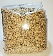 10 LBS Organic Rye Berries - Bulk Clean Grain - No Fungicides - Mushroom Spawn