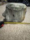 Fossil whale Vertebrae 5 To 20 Million Years Old From North Carolina — photo 8