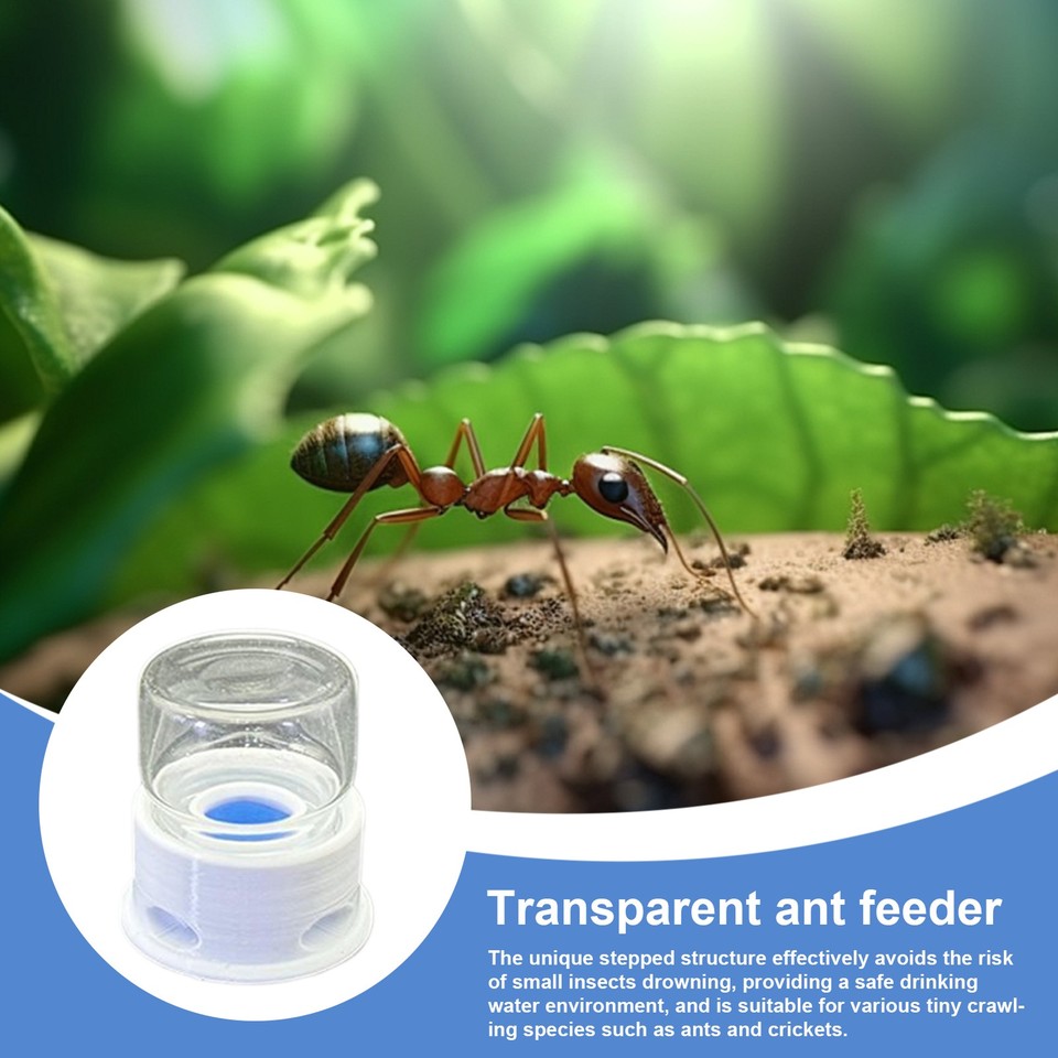 transparent-ant-feeder-crickets-water-station-drinking-feeder-for-ant