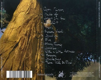 ELEVEN TIGERS CLOUDS ARE MOUNTAINS NEW CD