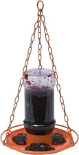 Perky Pet Oriole Jelly Feeder 32 Oz Orange Tray Attracts Orioles With Grape J...