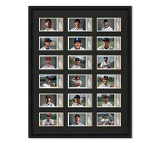 PSA Graded Card Frame Display Holds (18) Slabs Baseball, UV Protection (optional