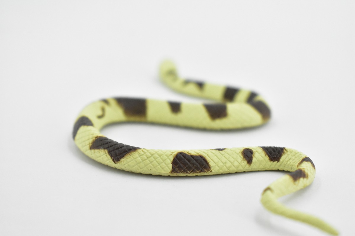 新品未使用　FROG PRODUCTS COBRA 新品未使用 FROG PRODUCTS COBRA - メルカリ