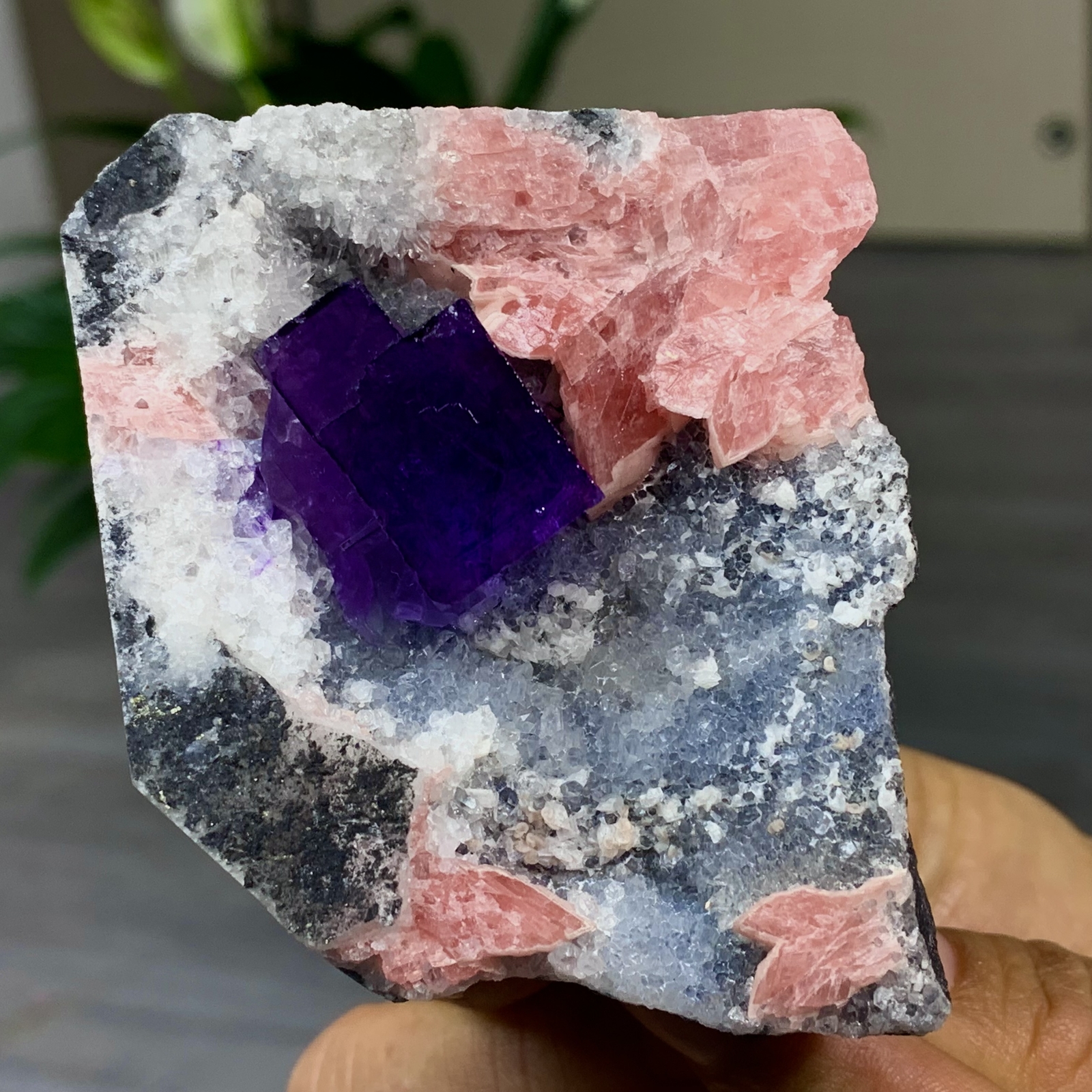 317G Natural Rhodochrosite & Purple Fluorite Crystal Mineral Specimen for Healing