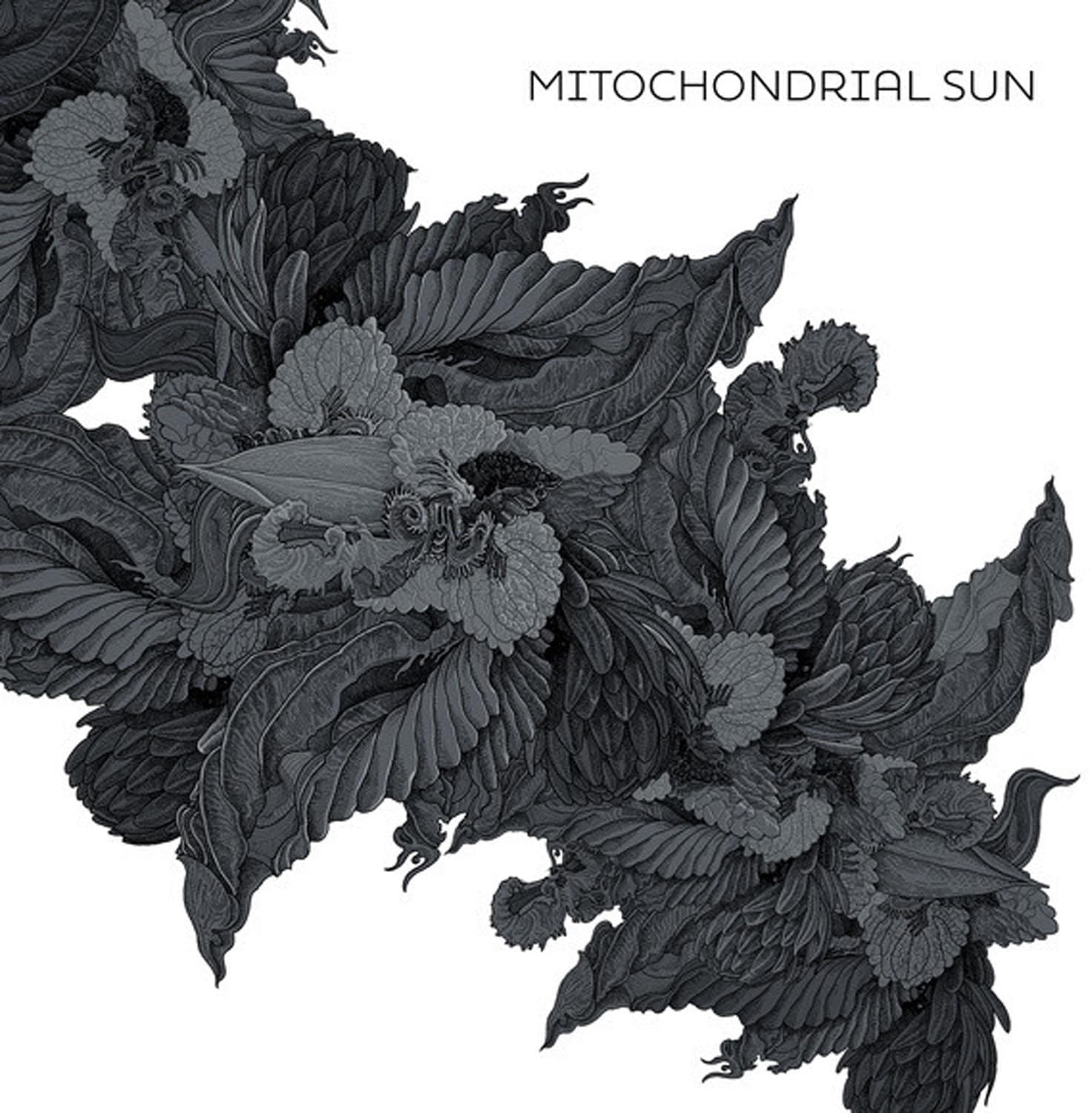 Mitochondrial Sun Mitochondrial Sun LP Vinyl NEW