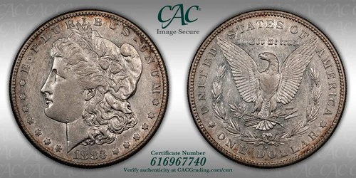 1883-S Morgan Silver Dollar CAC XF Details.  Slight Rim Toning. High Res Photos.