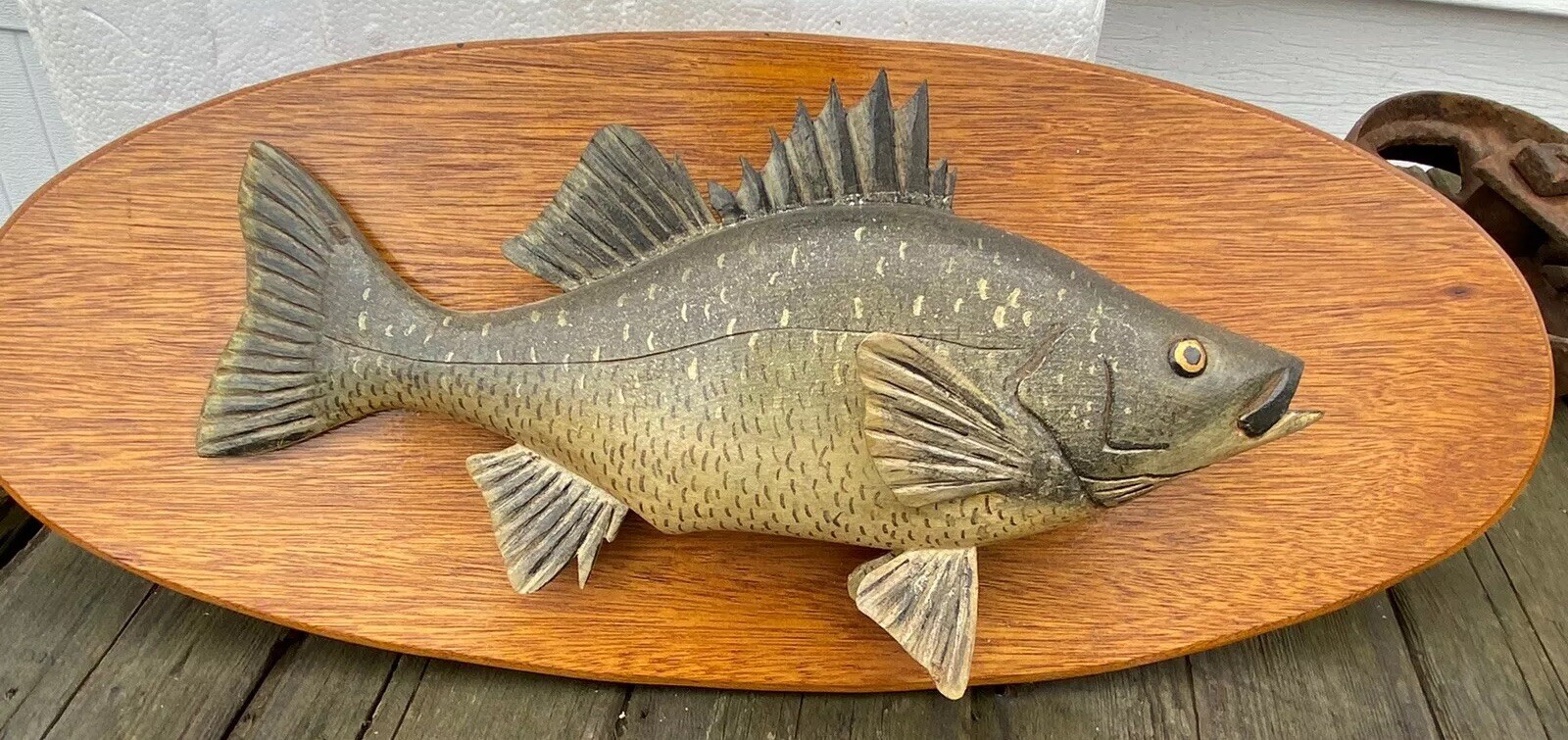 Rare Maine White Perch Carved Lawrence Irvine Fish Winthrop Me Fishing eBay