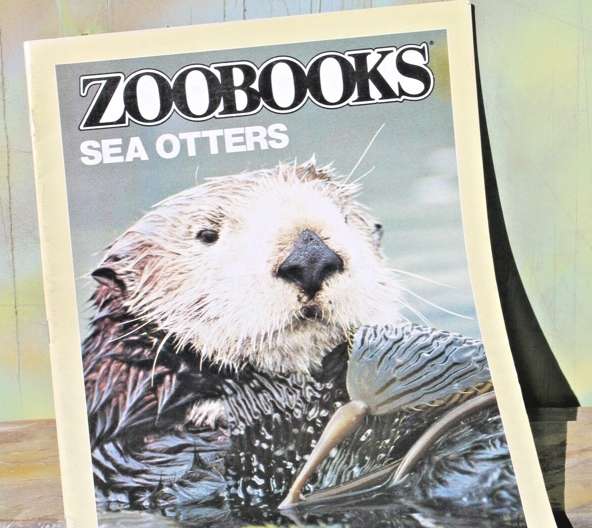 Sea Otters ZOO BOOKS Picture Educational Magazine FREE SHIP!