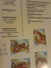Imagen 4 de 5