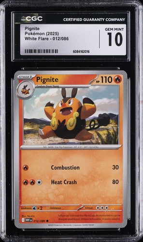 Pignite graded CGC 10 for sale on eBay