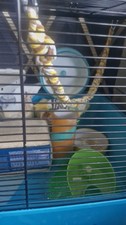 Large Hamster Cage, with Lots Of Accessories Food, Bedding, Sawdust