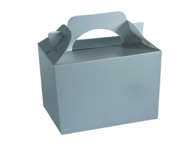 Childrens Silver Gift Boxes ~ Birthday Party Snack Lunch Meal Snack Food Bag Box