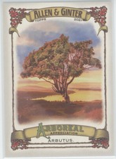 2021 Topps Allen and Ginter Arboreal Appreciation #AA-9 Arbutus