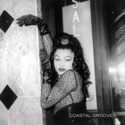 Blood Orange - Coastal Grooves LP - Black Vinyl Album - SEALED NEW