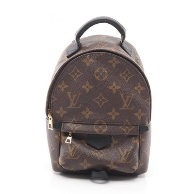 LOUIS VUITTON Palm Springs Mini Backpack Rucksack Tasche M41562 Monogram Leder