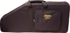 Autoharp Case
