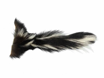 Real Tanned Super Premium XL Skunk Tail (18-SK-G4271) 9UL2