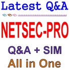 NETSEC-PRO Palo Alto Networks Certified Network Security Professional Exam Q&A