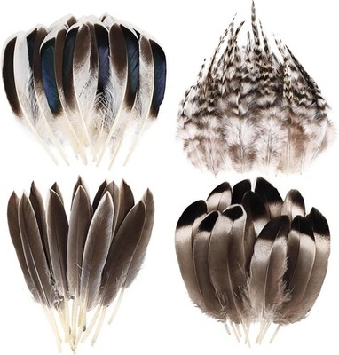 THARAHT 120pcs Natural Feathers Small 4 Styles Bulk for Mix Feathers-brown-2 
