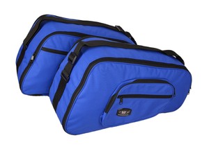 ice cream in a bolsa experiment