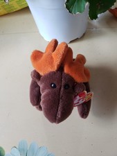 TY Beanie Baby - CHOCOLATE the Moose 9 inch - Ts Stuffed Animal April 27, 1993