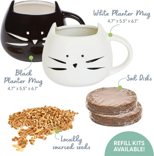2-Pack Cat Grass Kit with Nutrient-Rich Seeds – Indoor Decor for Cat Lovers - Picture 4 of 8